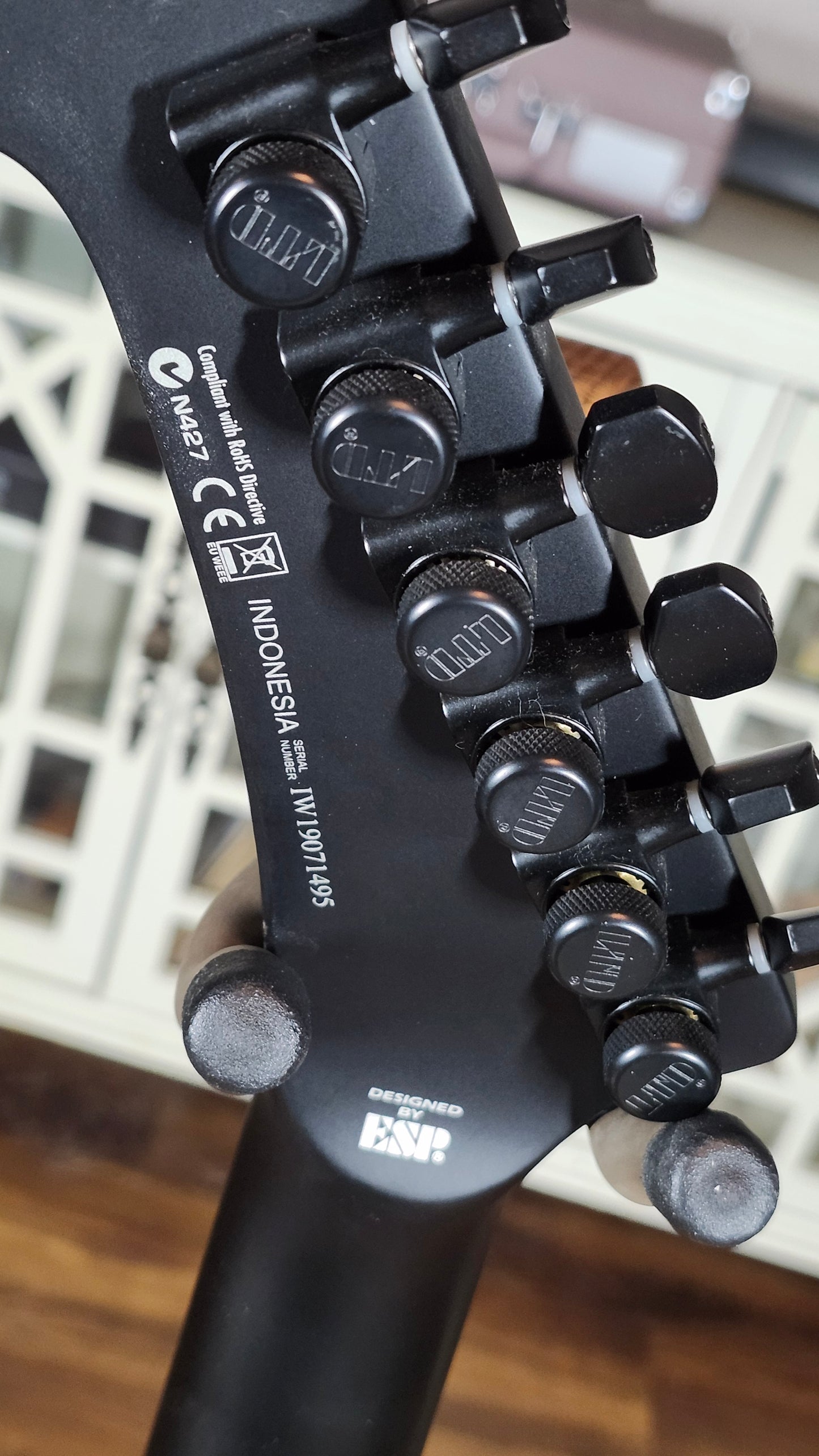 LTD SnakeByte (James Hetfield signature model) w/OSHC