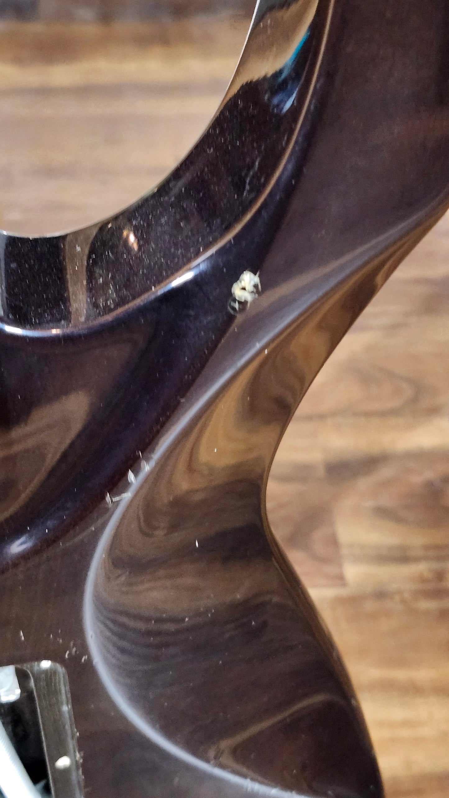 Charvel SDK-085 HH (MIJ)