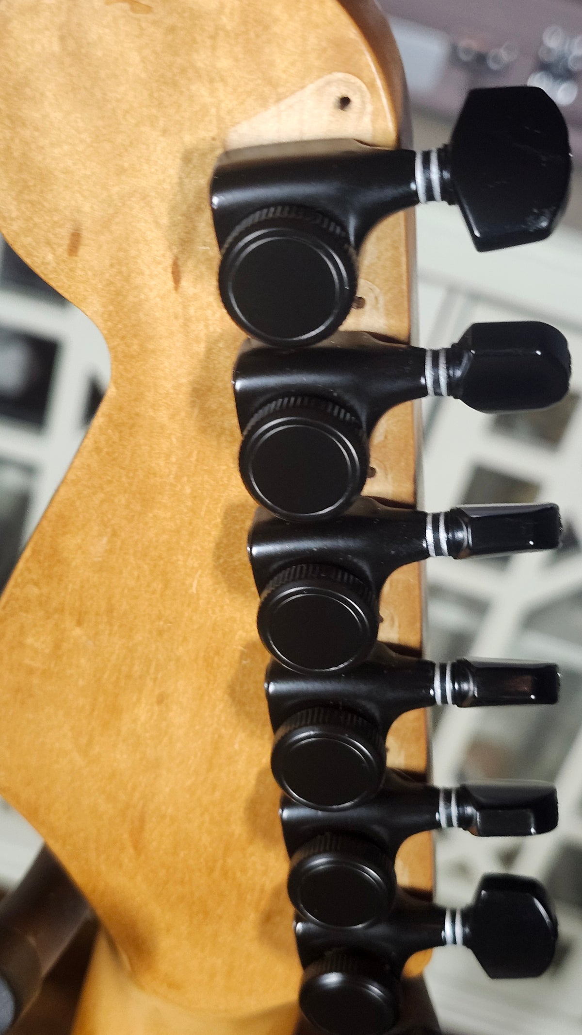 1995 Korean Squier Stratocaster Parts Build